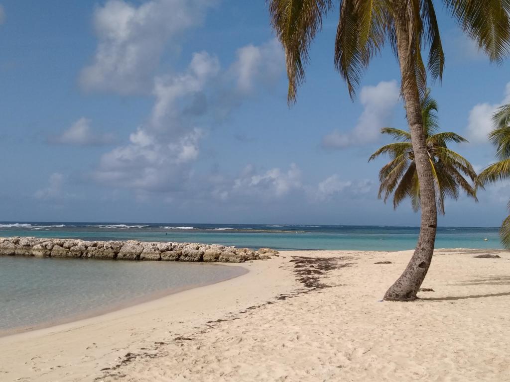 Appartements: Plage & Commerces A 200M แซนต์-อาน ภายนอก รูปภาพ